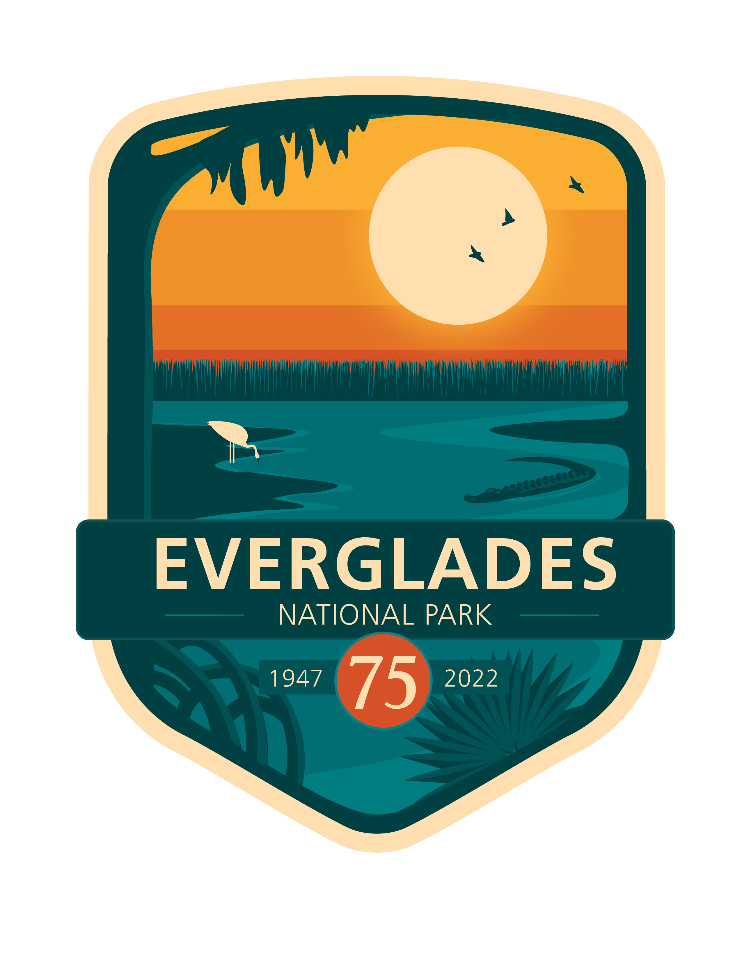 Everglades 101